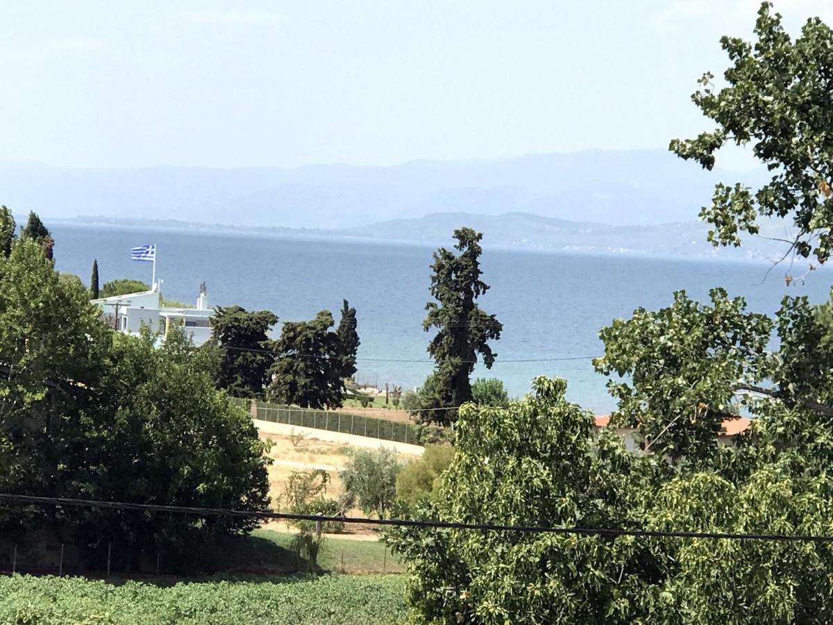 Studio Kalypso Arkítsa 外观 照片