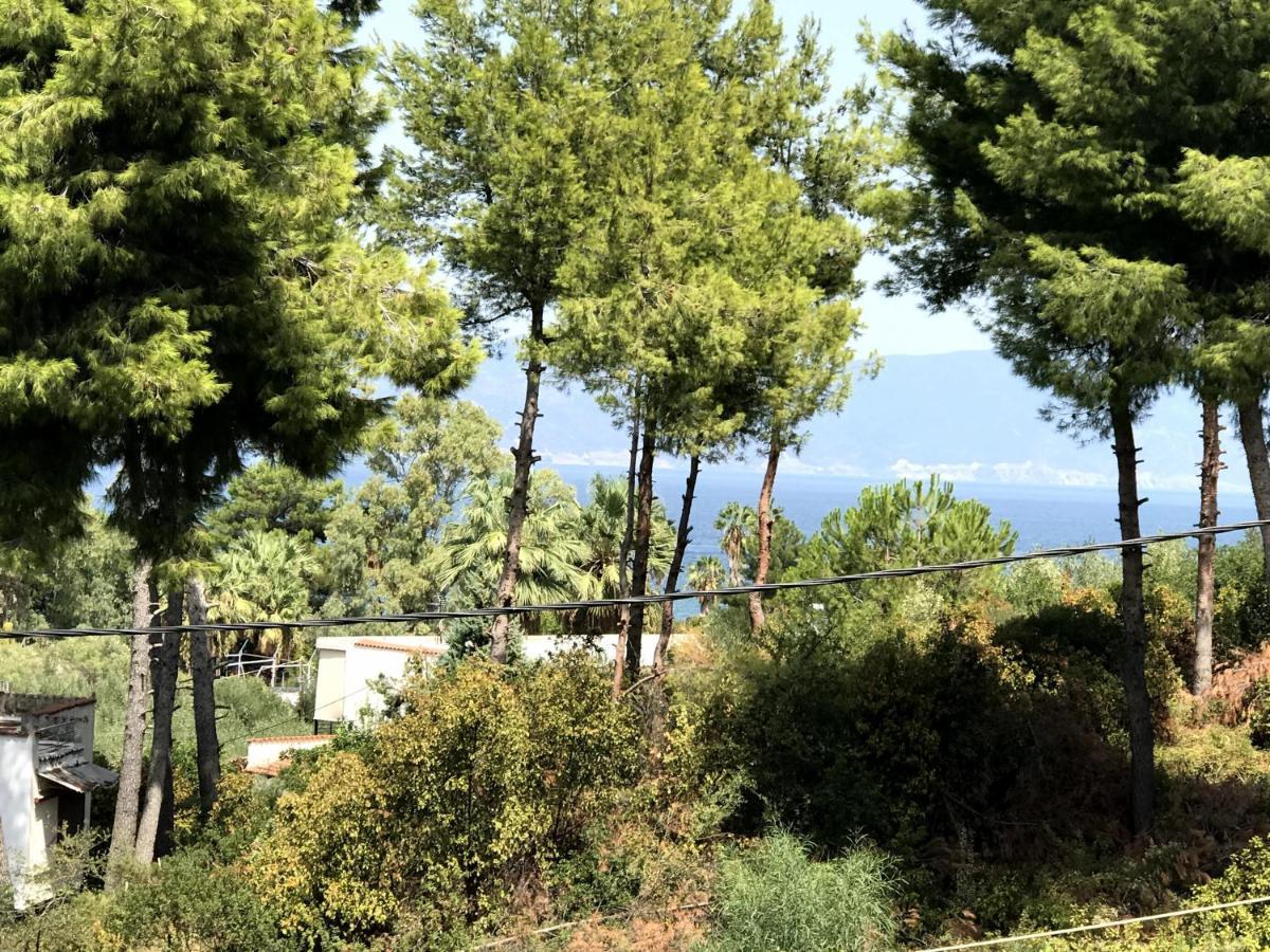 Studio Kalypso Arkítsa 外观 照片