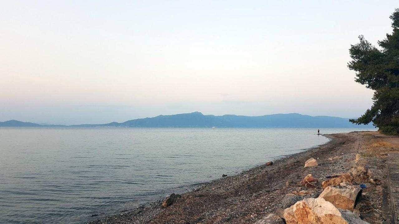 Studio Kalypso Arkítsa 外观 照片