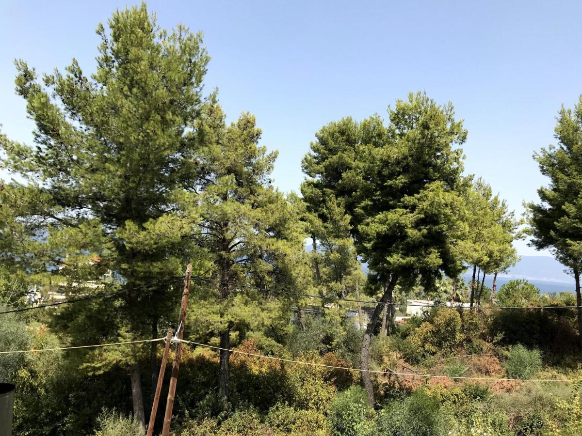 Studio Kalypso Arkítsa 外观 照片